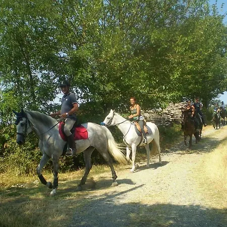 Casa Guatelli Vendégház Spineto Scrivia